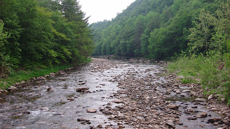Loyalsock Senic4.JPG